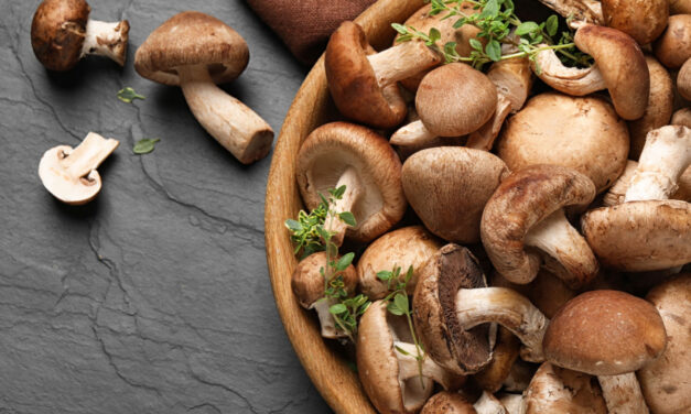 <strong>Welke paddenstoelen zijn gezond en lekker?</strong>