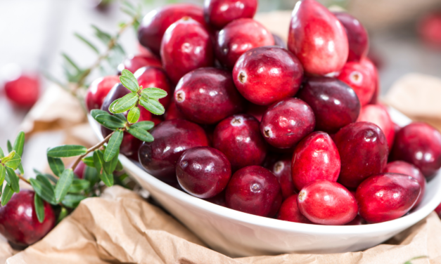 <strong>Cranberry: voor een gezonde plas</strong>