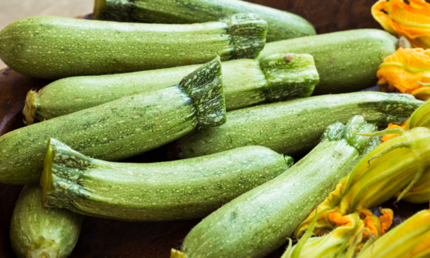 <strong>Courgettes: om smullend slank te blijven!</strong>