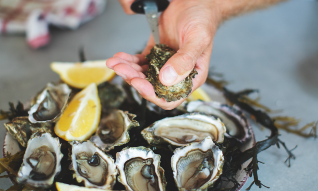 <strong>Waarom kun je ziek worden na het eten van oesters en mosselen?</strong>